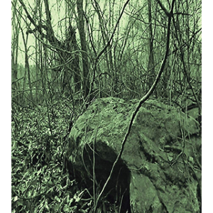 Greenstone